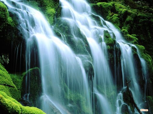 pourquoi boire de l'eau est si important