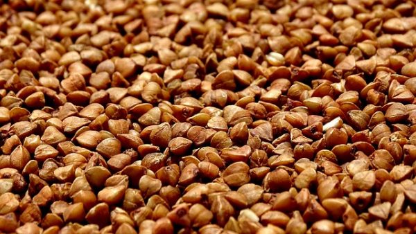La cuisson des céréales sans gluten