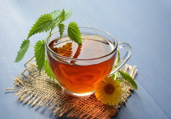 Les conseils en naturopathie